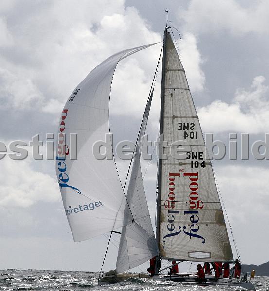 ORCi 512.jpg
